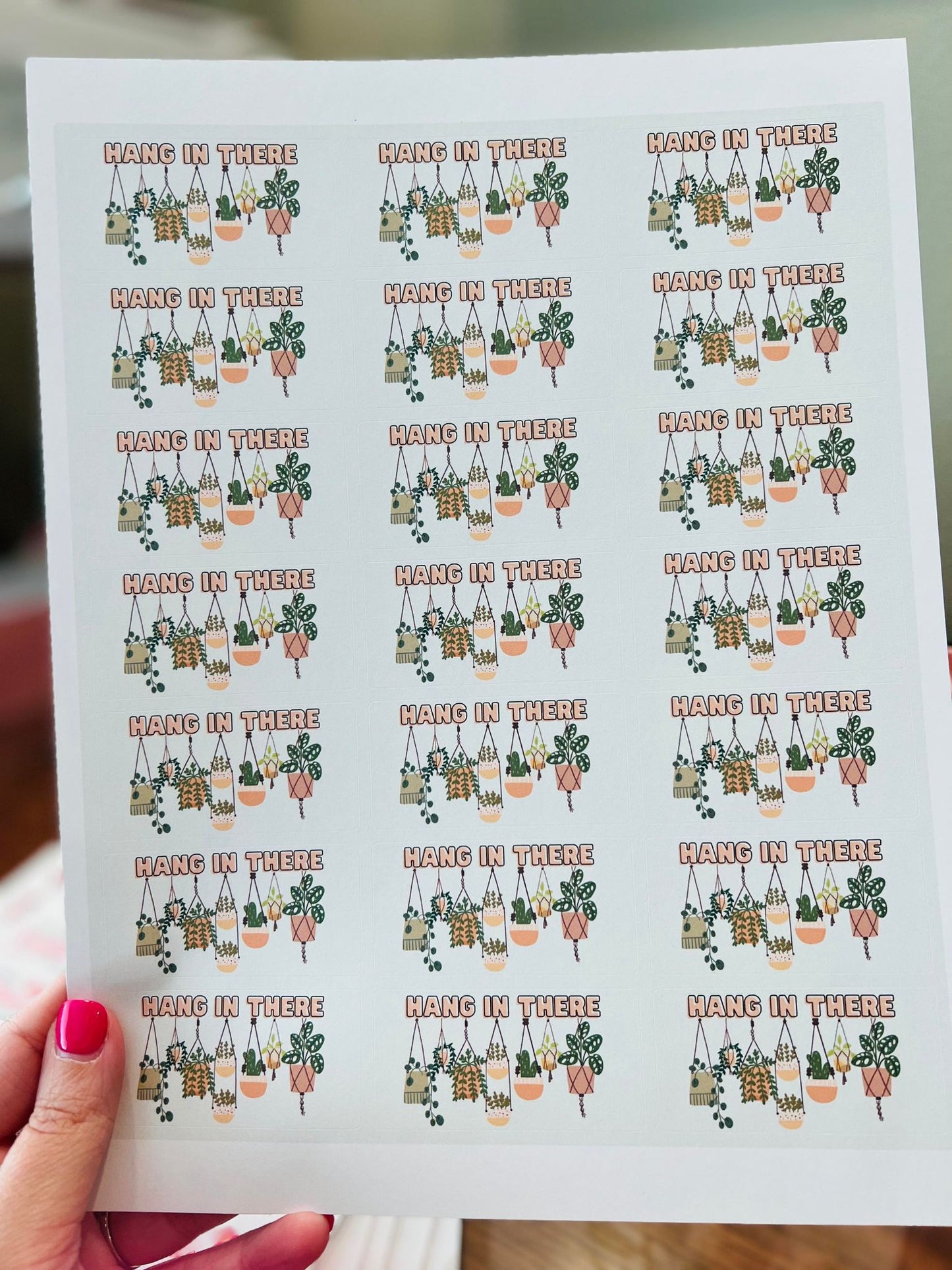 #627 - Hang in there 2.5X1 - New Release