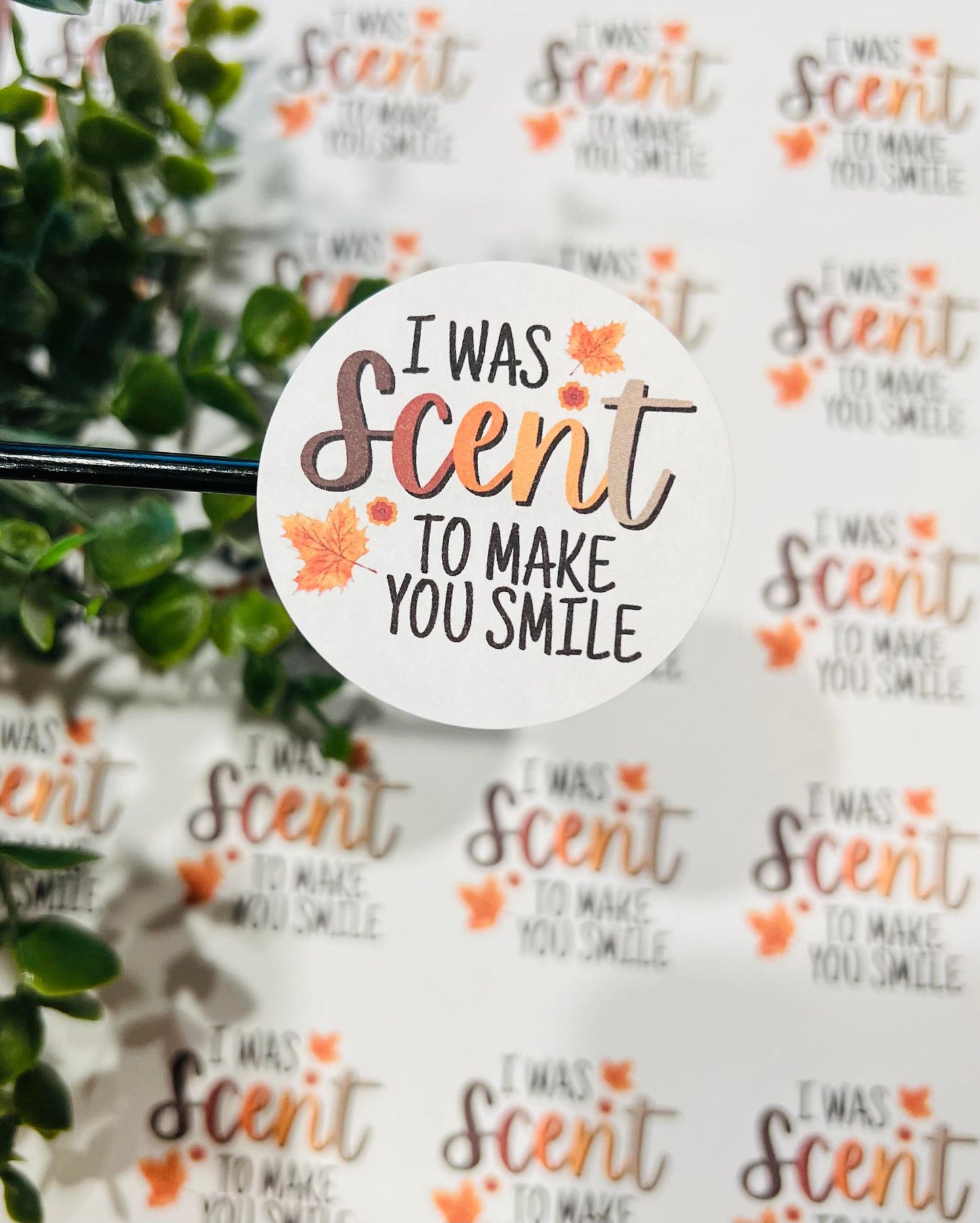 #181 I was scent to make you smile