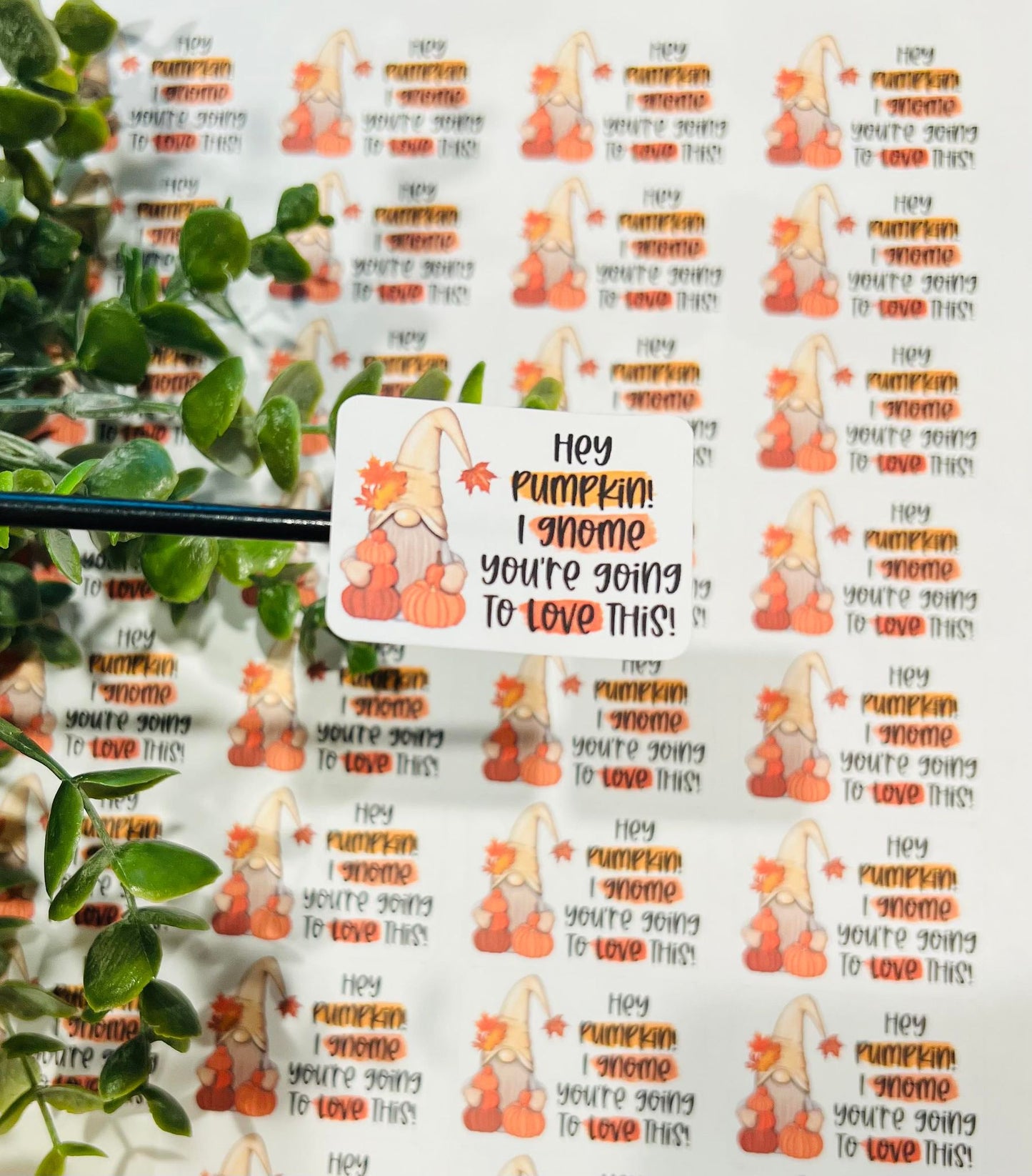 #189 hey pumpkin! I gnome you're going to love this! 1.75x1.25