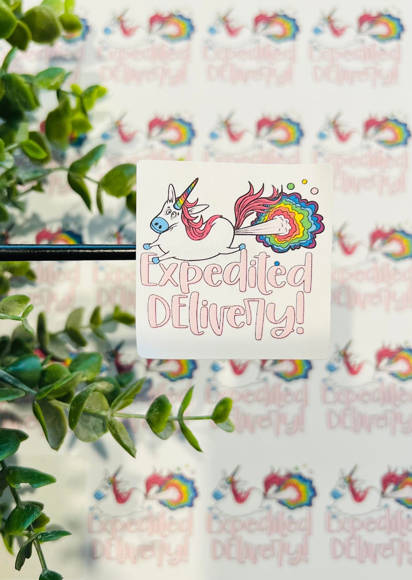 #209 Expedite delivery unicorn 2x2