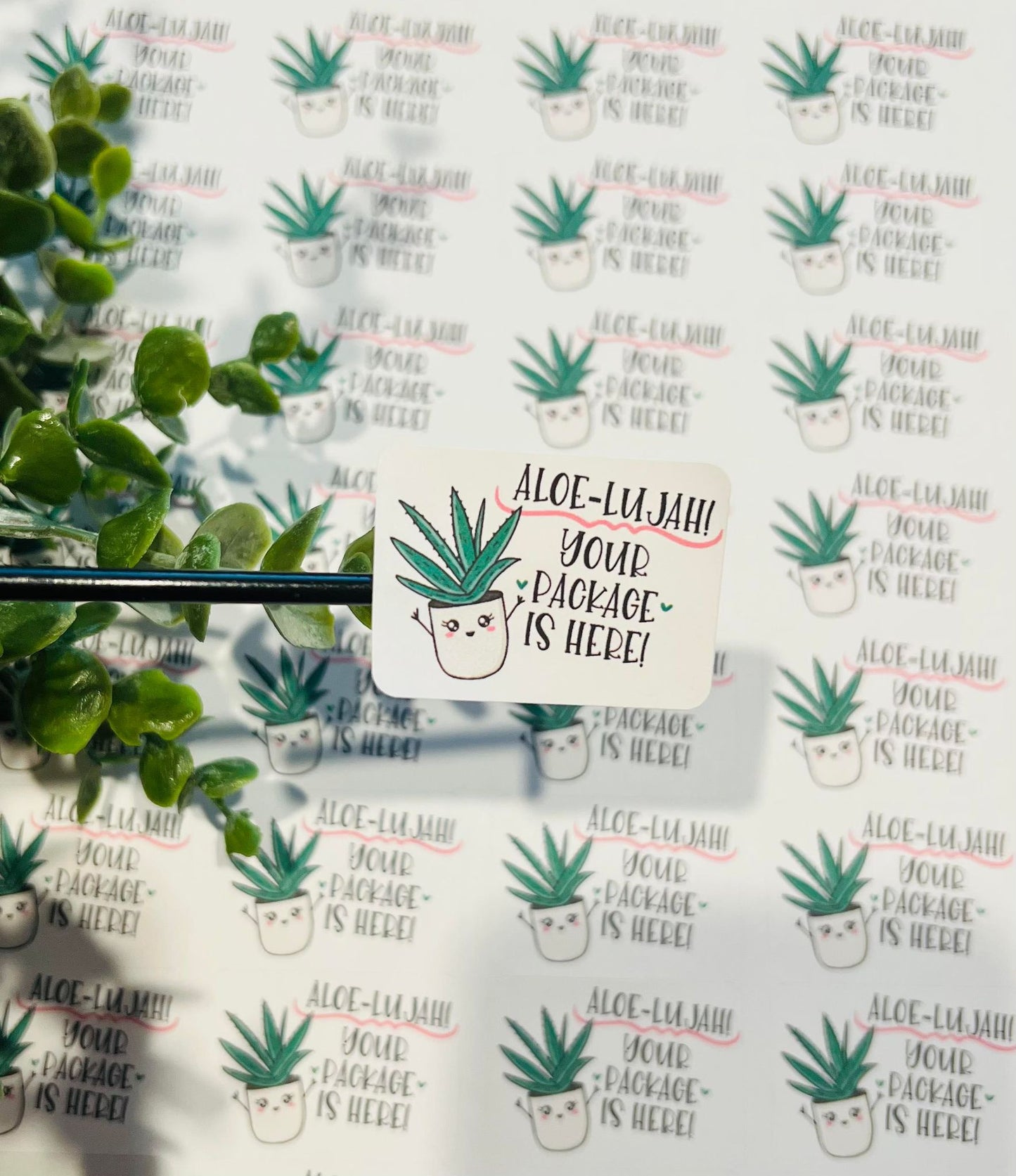 #230 Aloe-LuJah! Your package is here