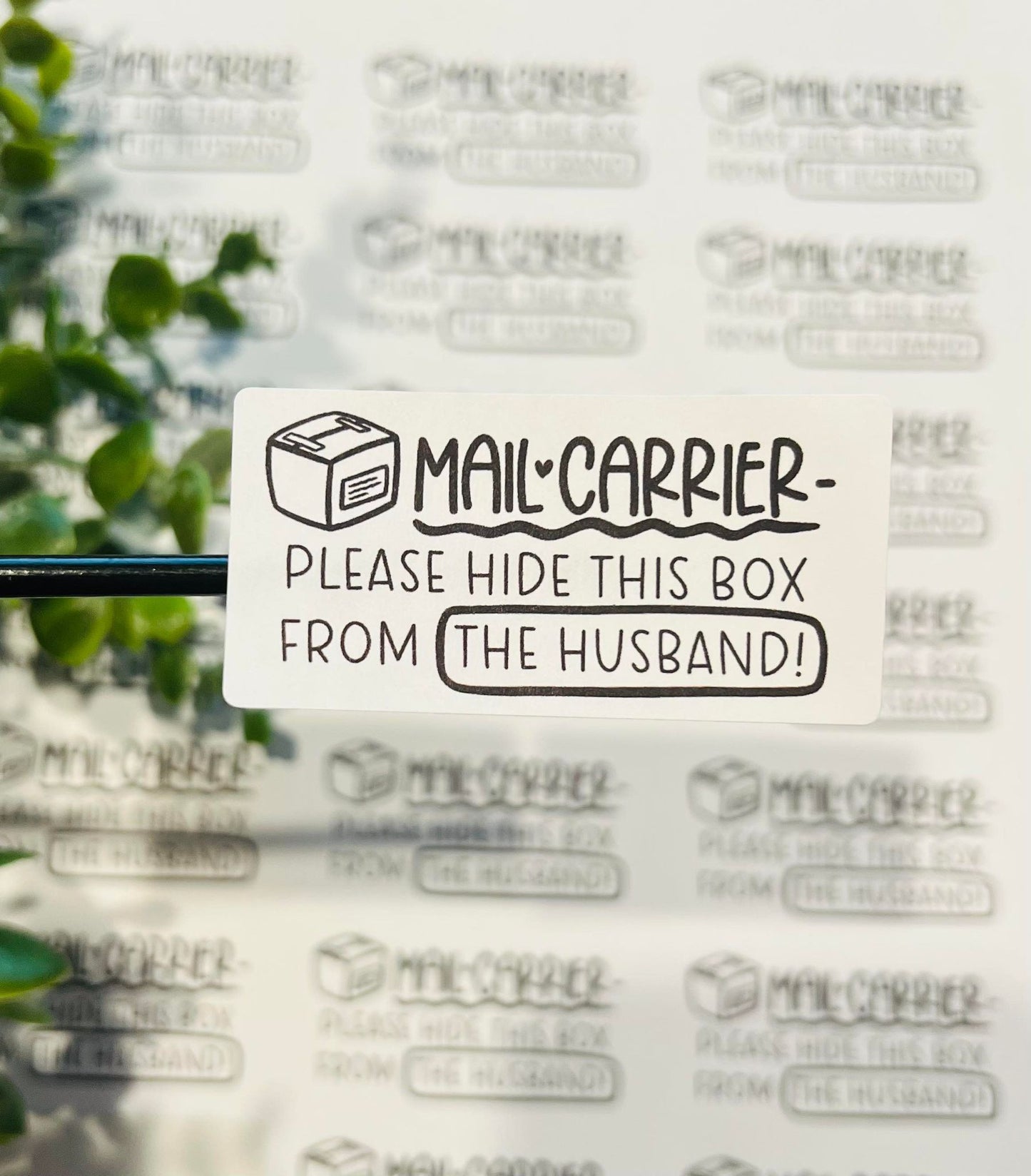 #238 Mail carrier please hide this package from the husband 2.5x1