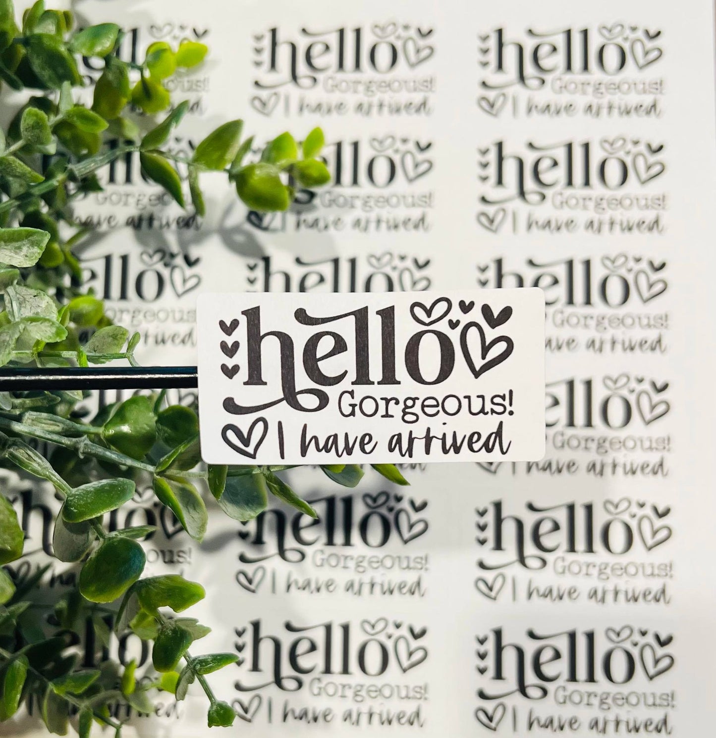 #26 Hello Gorgeous I have arrived