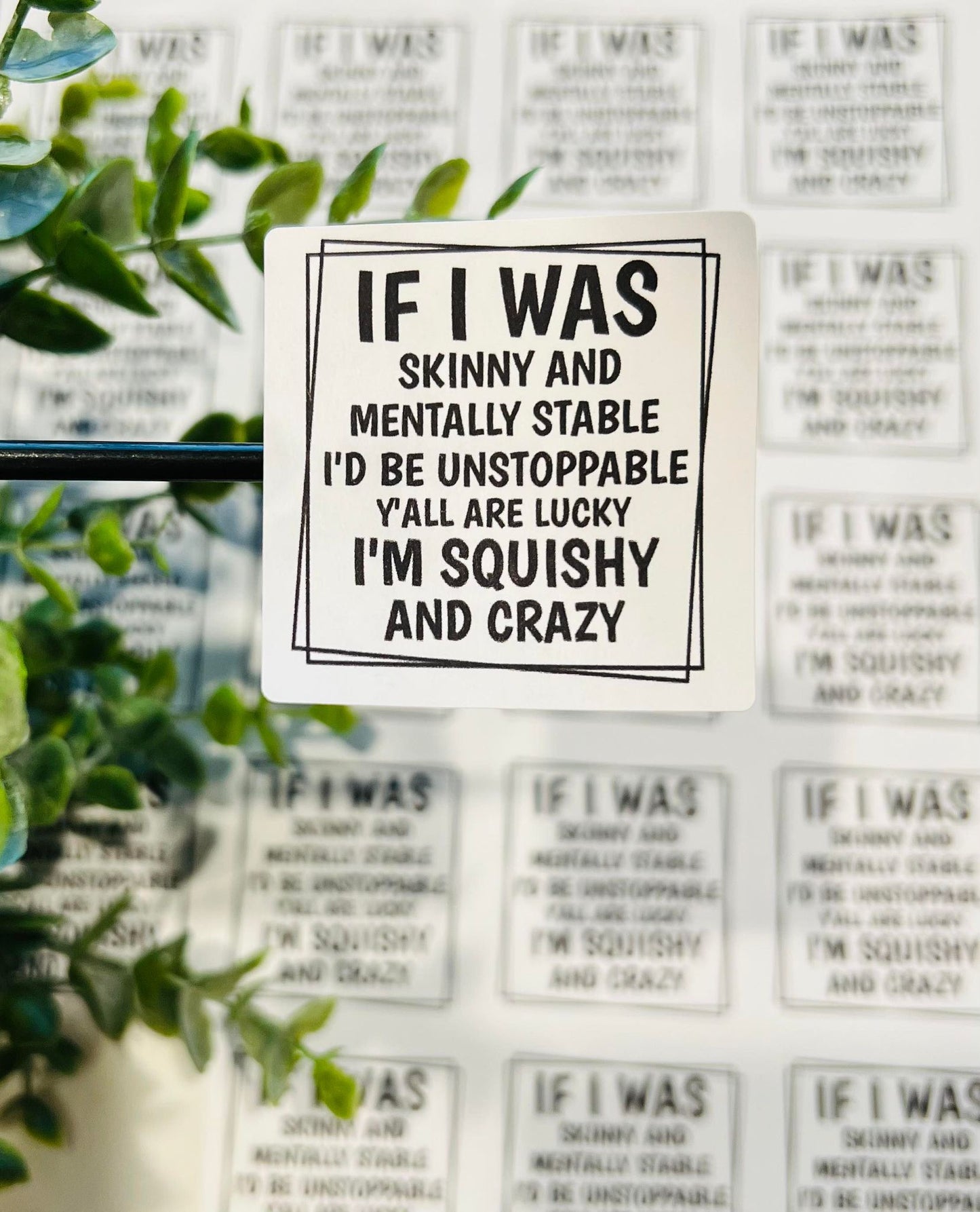 #262 - If I was Skinny