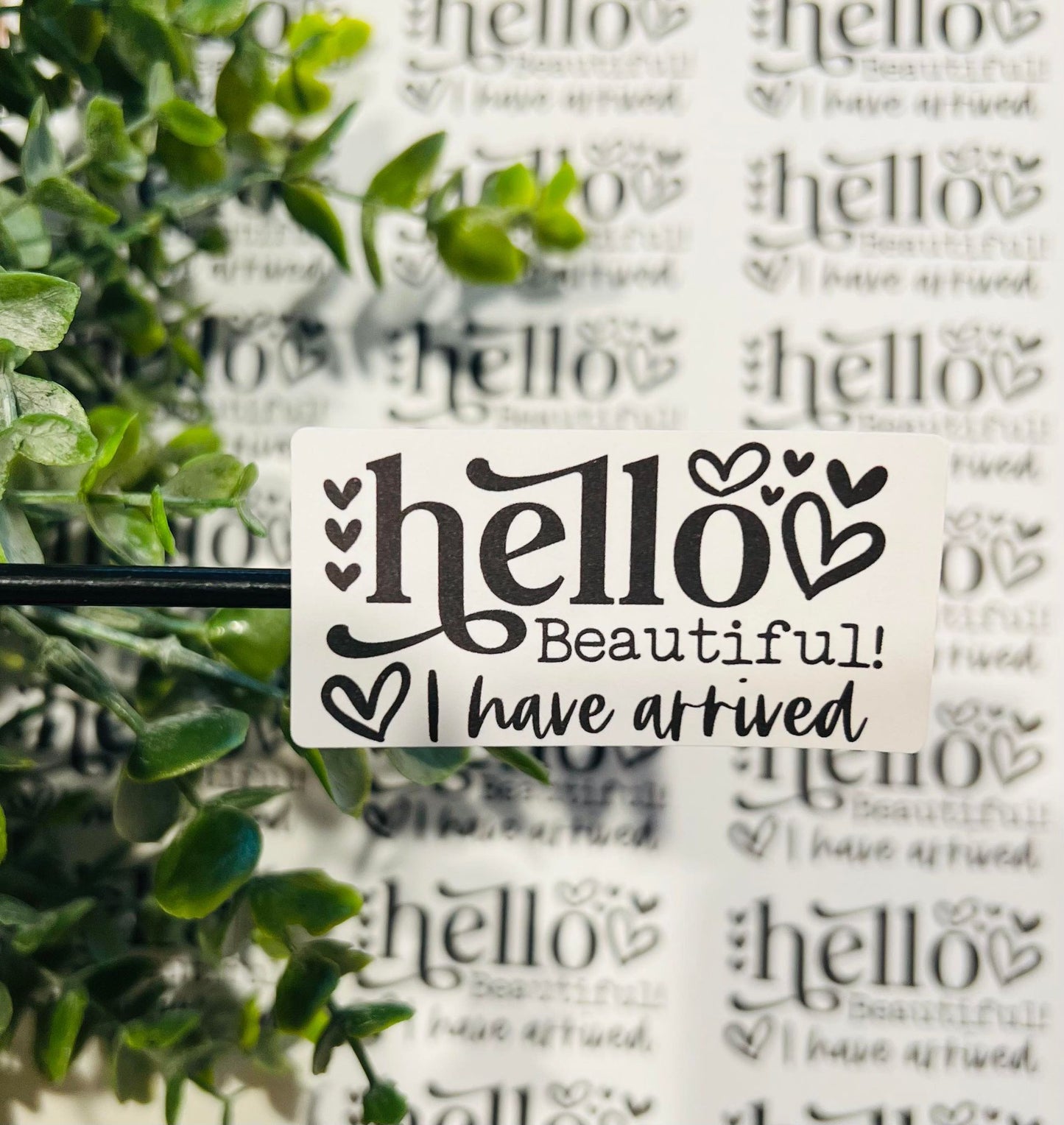 #27 Hello Beautiful I have arrived