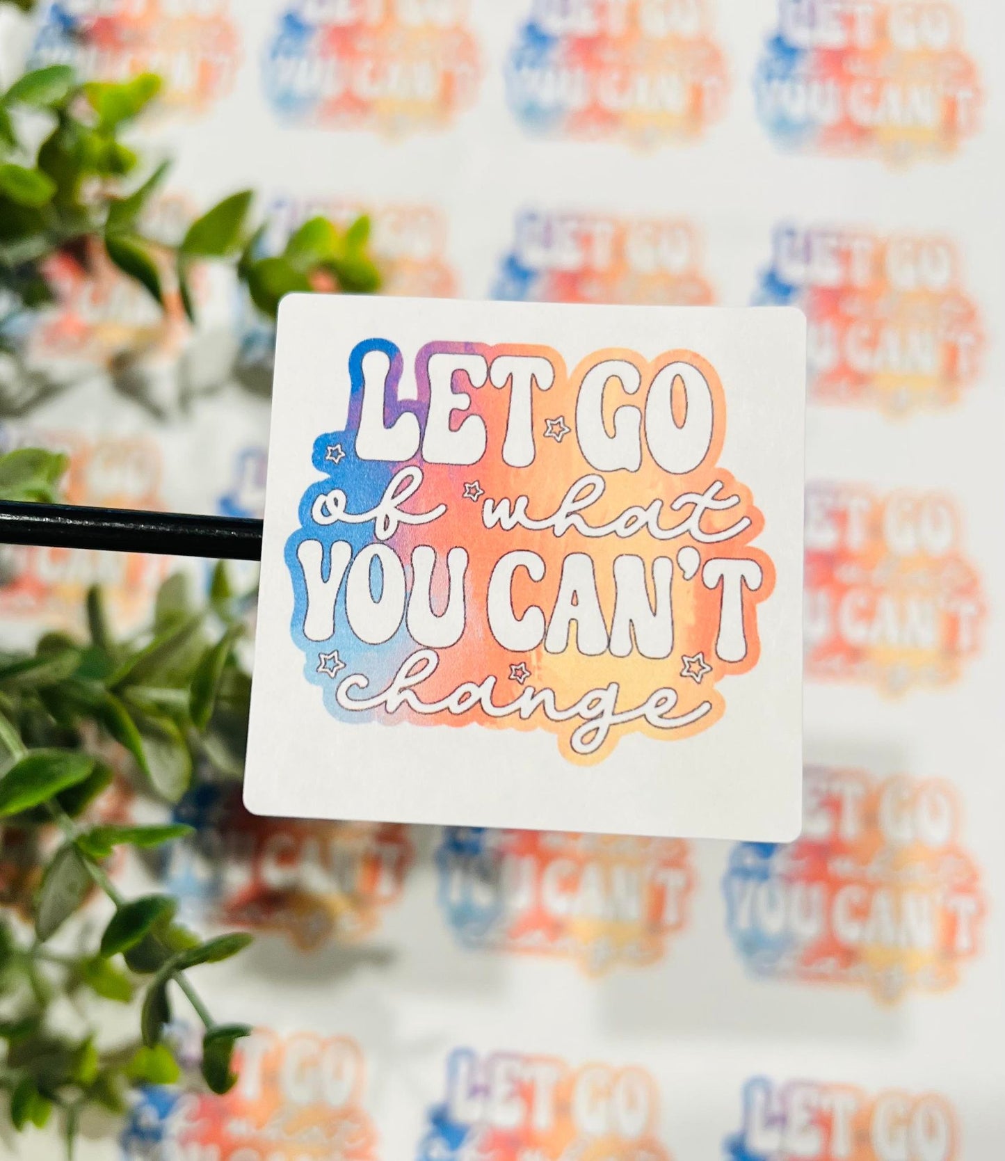 #301 Let Go Of What You Can't Change 2x2