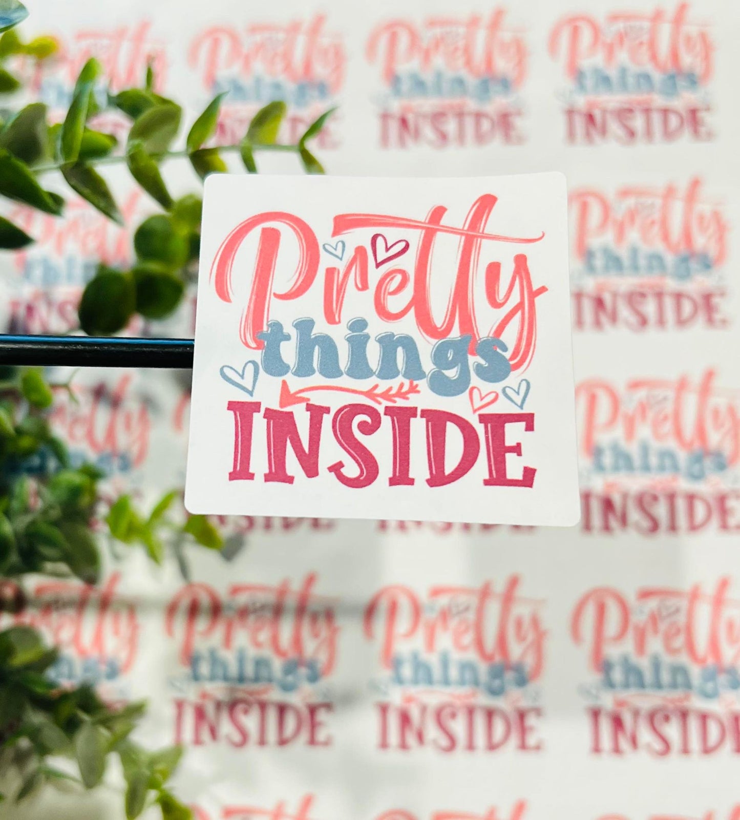 #322 Pretty Things Inside! 2x2