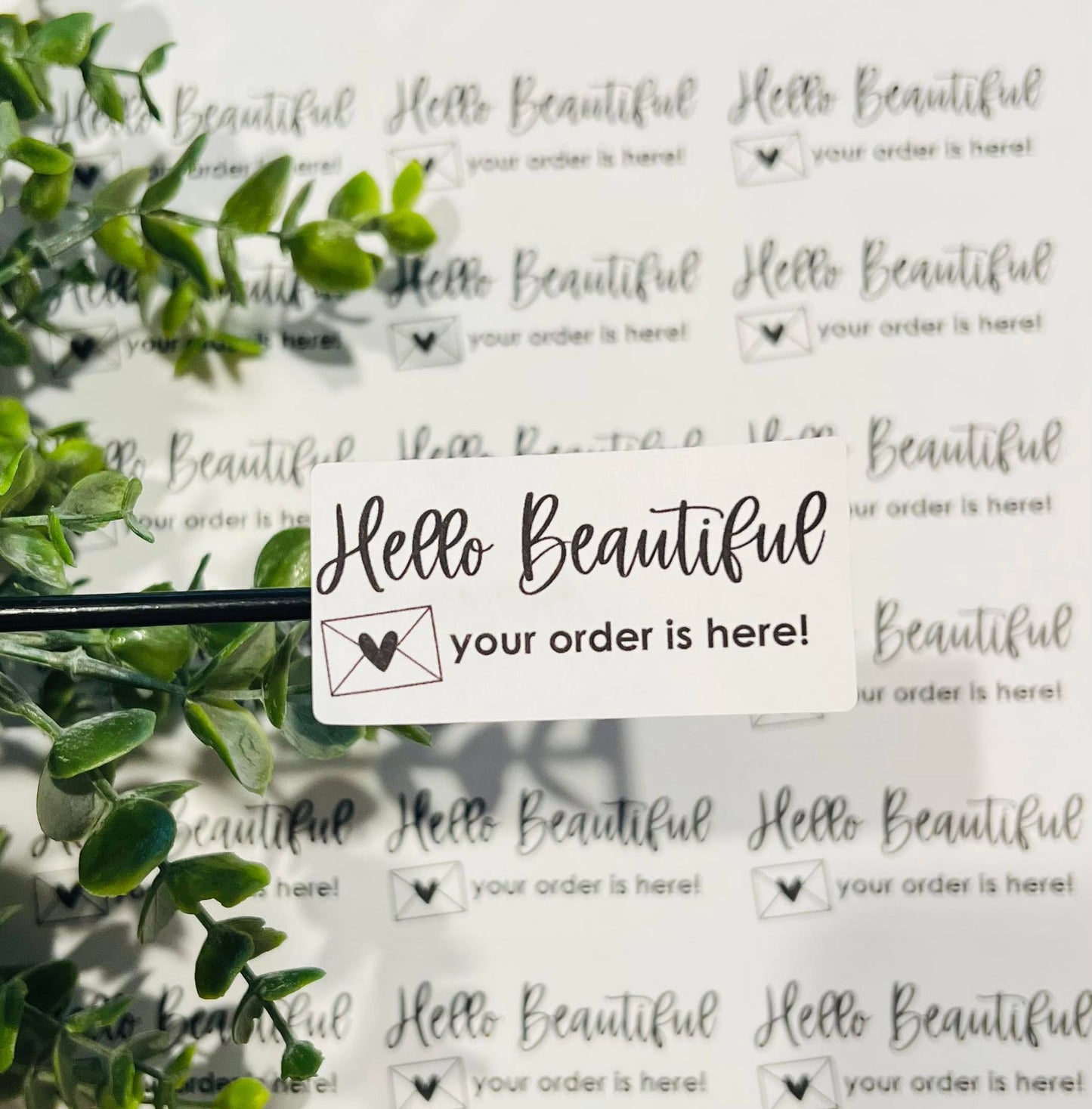 #32 Hello Beautiful your order is here