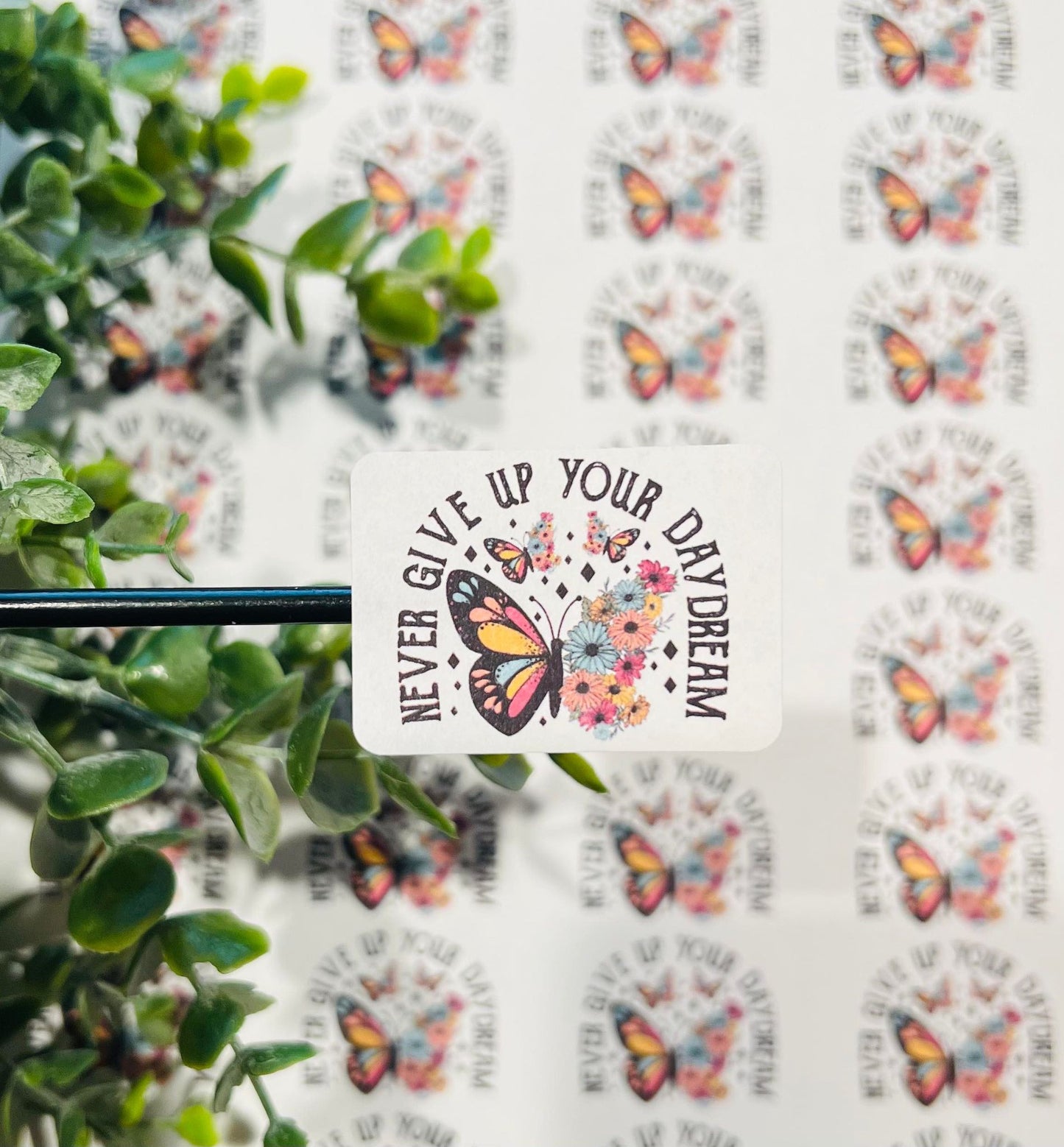 #33 Never give up your daydream