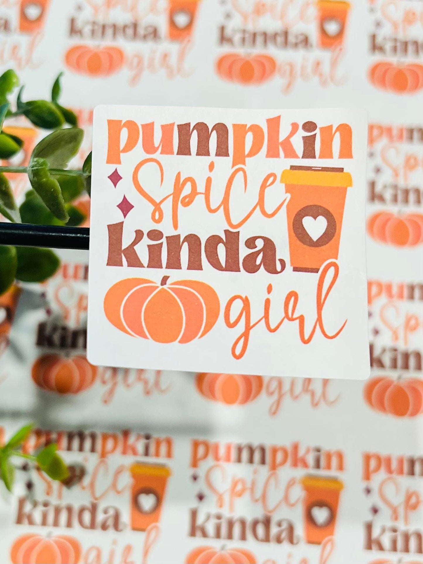 #359 Pumpkin spice kinda girl 2x2