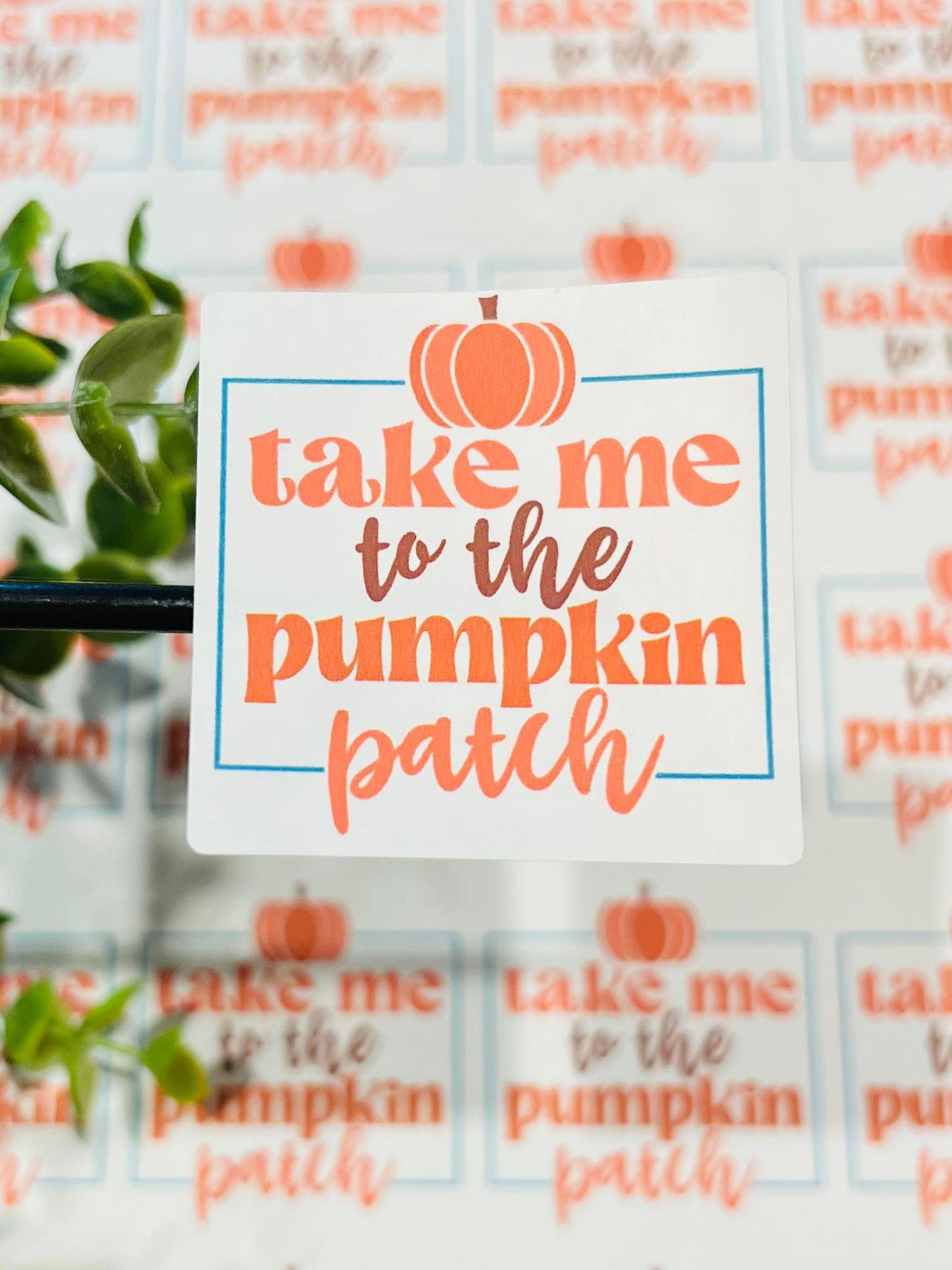 #360 Take me to the pumpkin patch 2x2