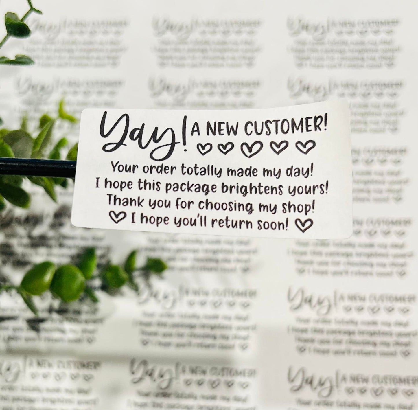 #398 Yay a new customer! 2.5x1