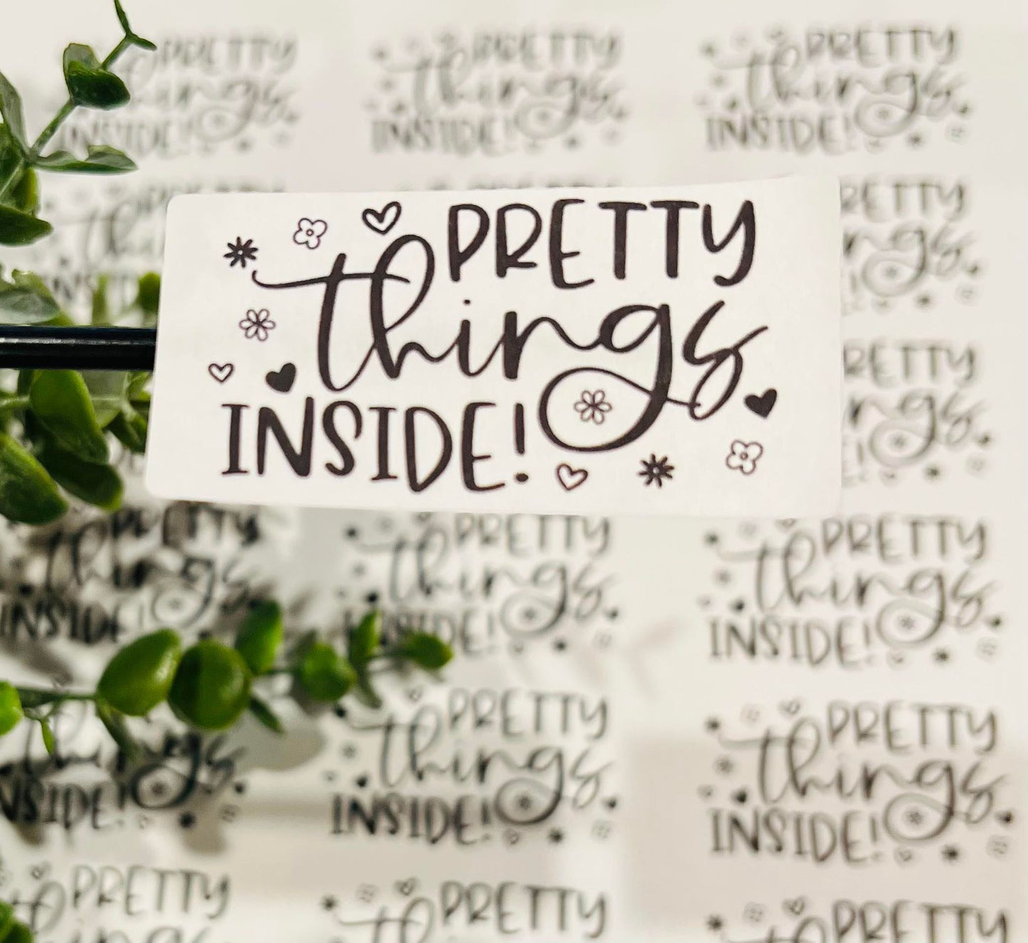 #399 Pretty Things Inside 2.5x1
