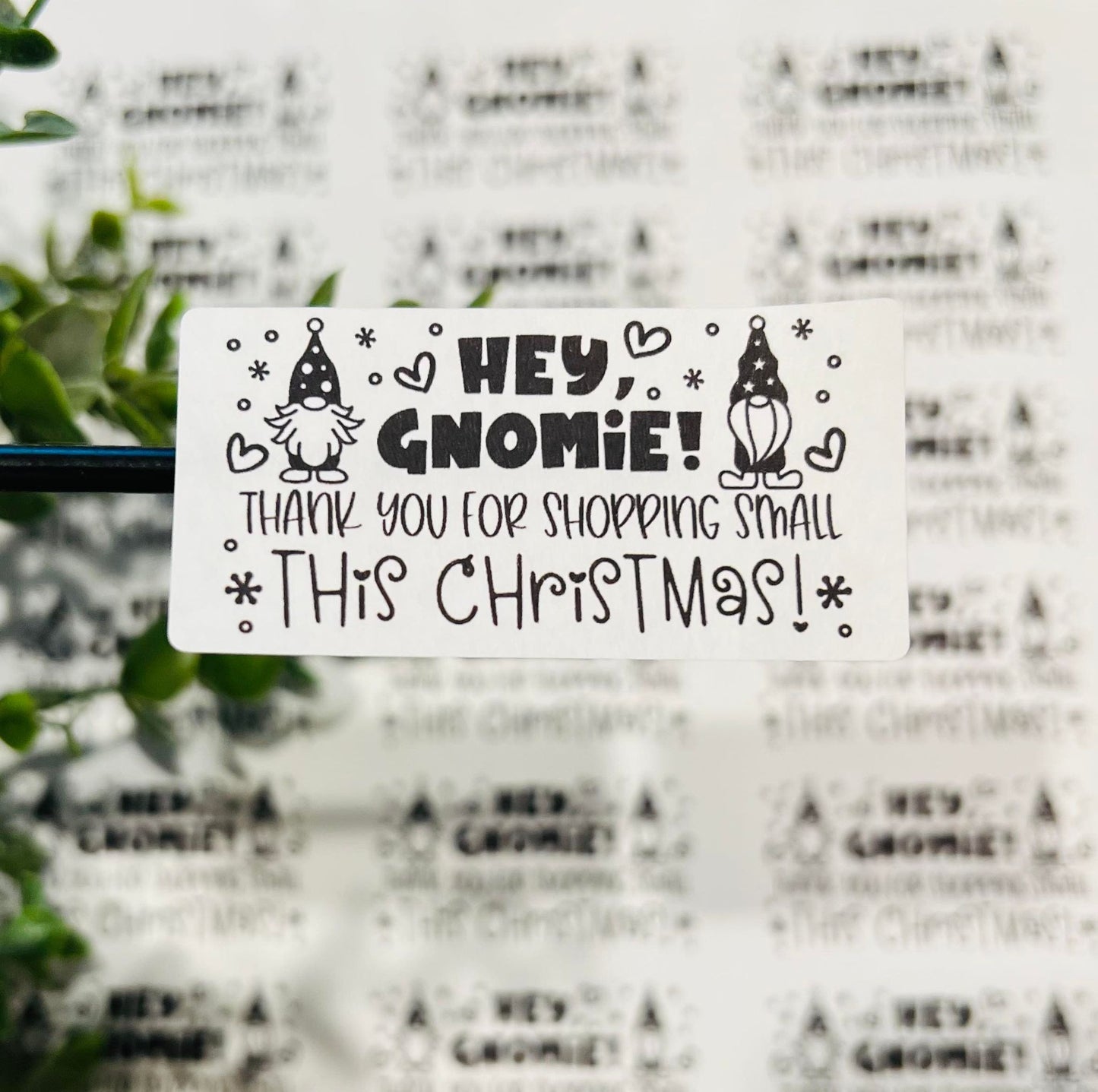 #405 Hey Gnomie 2.5x1