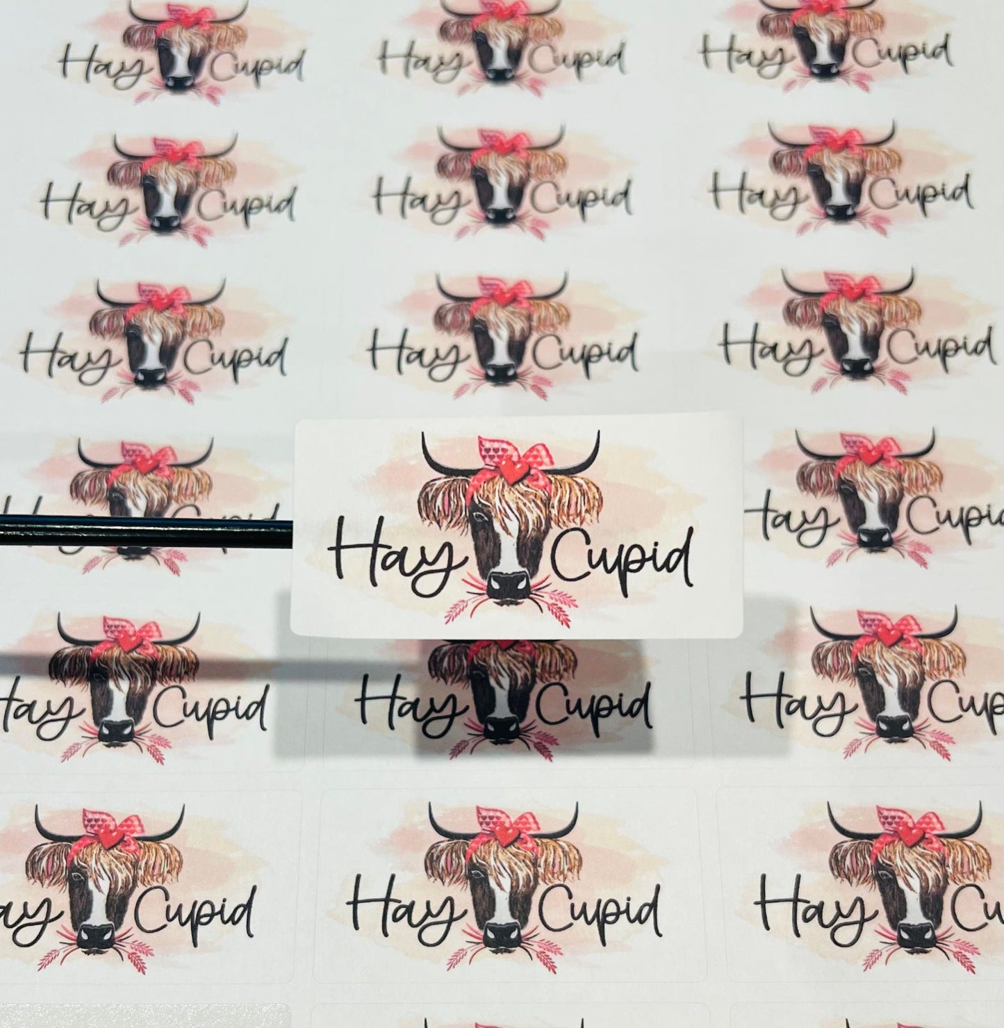 #544 Hay Cupid 2.5x1