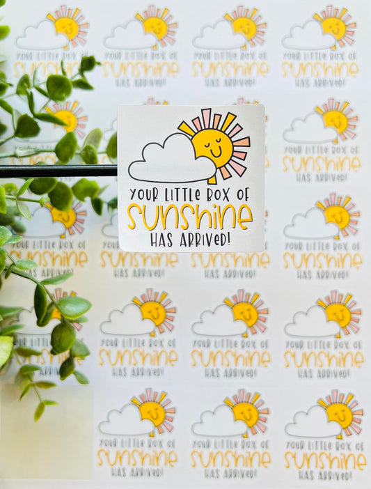 #05 Your Little Box Of Sunshine Has Arrived! 2x2 Square Stickers