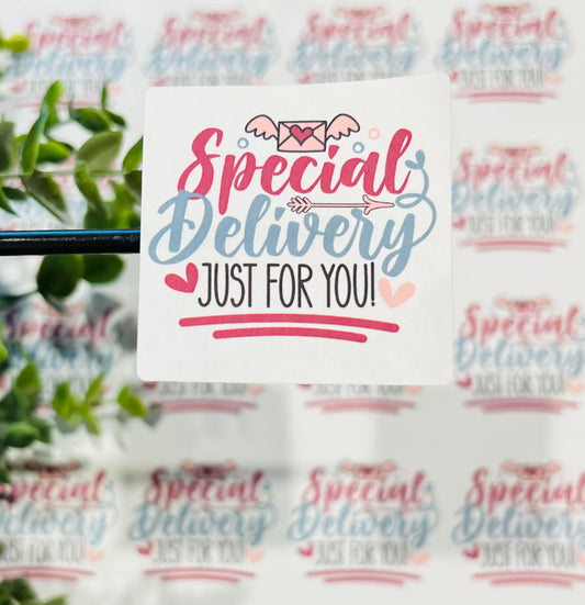 #324 Special Delivery Just For You! 2x2