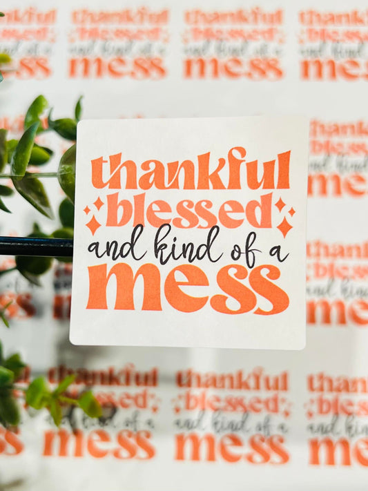 #361 Thankful blessed and kind of a mess 2x2